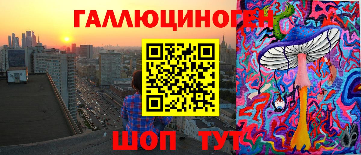 Псилоцибиновые грибы прущие грибы Лесной